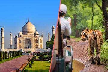 Rajasthan With Taj Mahal and Wildlife Tour